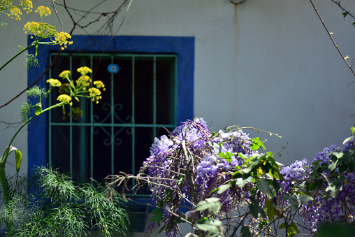 Modern residential garden landscape, street lights