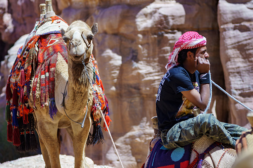 Jordan. Bedouin in Arafatka headdress sits on camel and rests. In background is second camel. Ancient city of Petra, carved into rocks, capital of Nabataean kingdom. Petra, Jordan – May 19, 2011