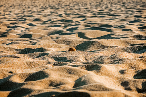 the abstract shapes of the sand on a sunny day