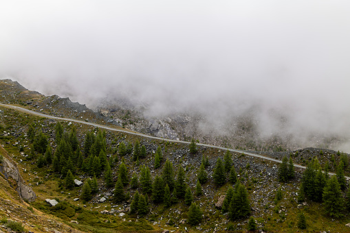 A foggy mountain path winds through trees