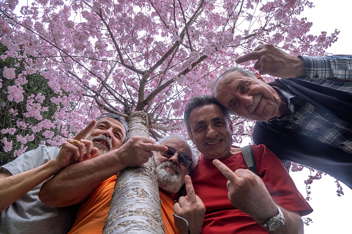 Active Senior men Enjoying a Day in the Park Amidst the Beauty of Spring. Cherry blossom. Fuck the old age.