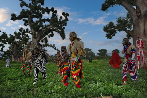Nguekhokh. Senegal. October 14, 2021. Participants of the costumed performance of Faux Lion in the image of a lions dance surrounded by centuries-old baobabs.
