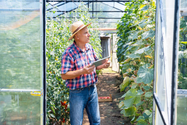 istock Farmer with digital tablet in Greenhouse. 2141367852