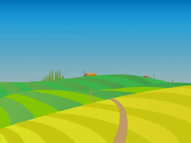 Vector illustration of Road trough fields to farm.