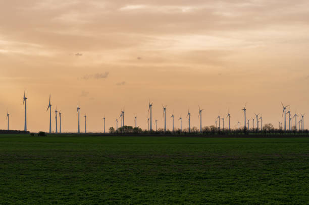 istock Wind turbines in an agricultural field at sunset 2141406428