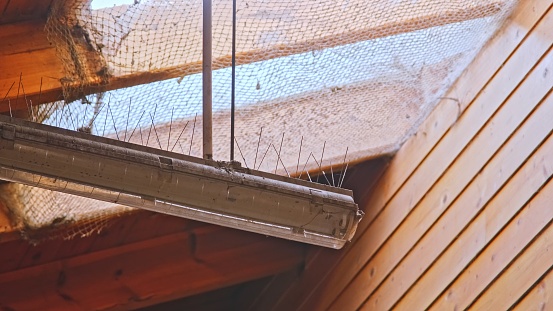 Anti Bird Spikes Needles Attached to Discharge Lamp Enclosure