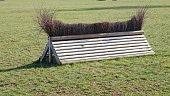 Equestrian Show Horse Jumping Rounded Top Lamb Creep Pheasant Feeder Obstacle
