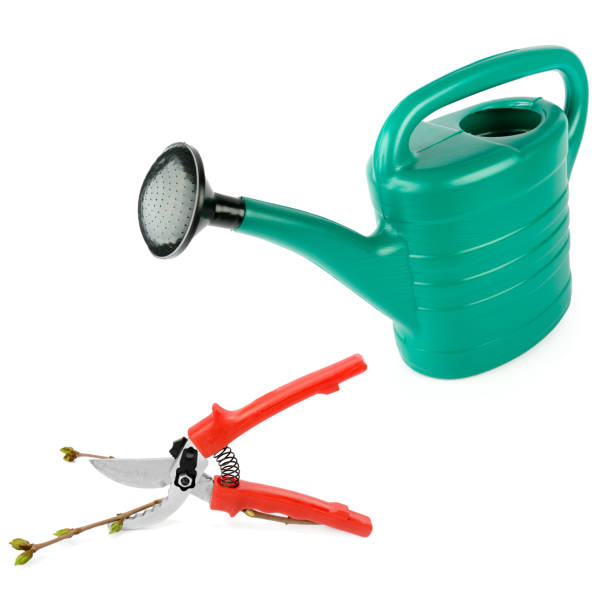 istock Garden watering can and secateurs isolated on white background. There is free space for text. Collage. 2141439946