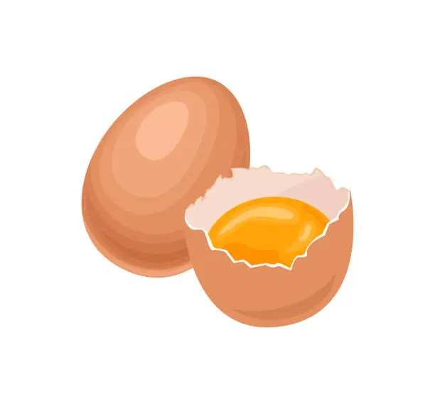 Vector illustration of Chicken eggs isolated on white background. Whole and half of egg with yolk in eggshell. Vector cartoon illustration.