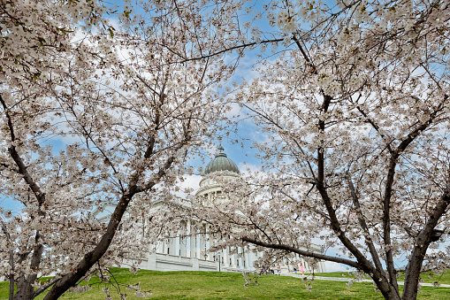 The US Capitol Building and Dome in Washington DC located on Capitol Hill across the street from The US Supreme Court Building