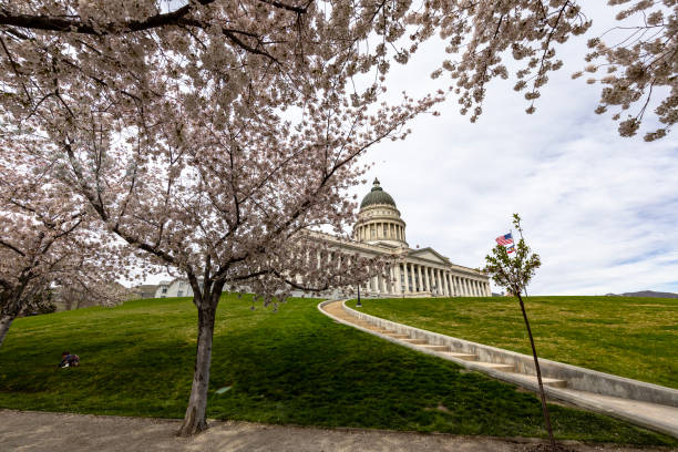 istock Utah State Capital Cherry Blossoms 2141485185