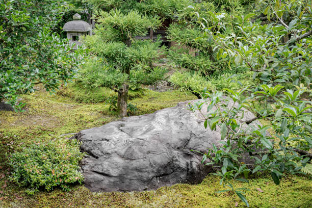 Great gardening concept using huge rock among plants.