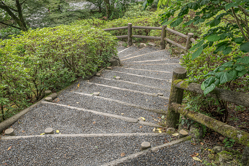 Stone stairs in the summer forest