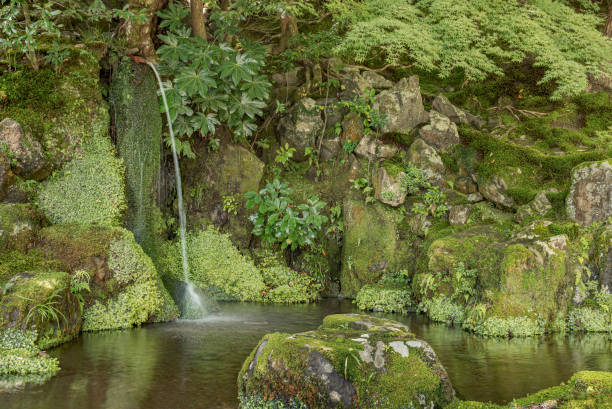 istock Waterfall in a deep forest of Japan. 2141519392