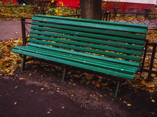 green wooden bench among trees and fallen leaves.
