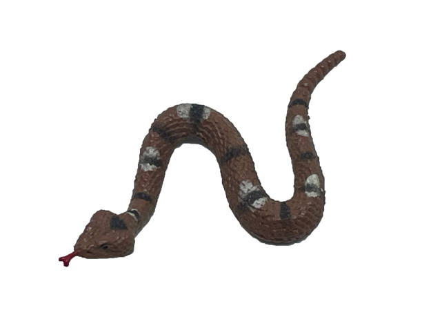 istock A snake toy wriggles on a white background. Rubber toy snake 2141587946