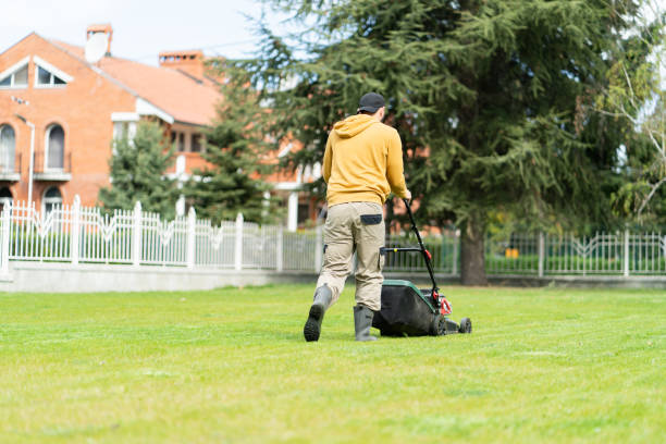 african man , contractor, with a trimmer cutting grass on the meadow in front of the hotel