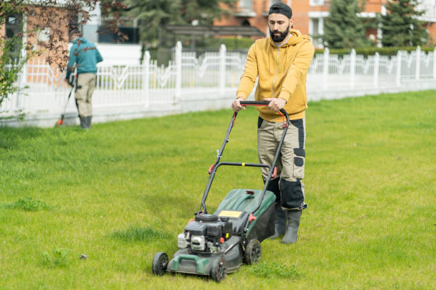 istock A man is using a lawn mower for professional trimming services 2141613891