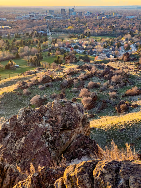 Green fields in rural Idaho, USA