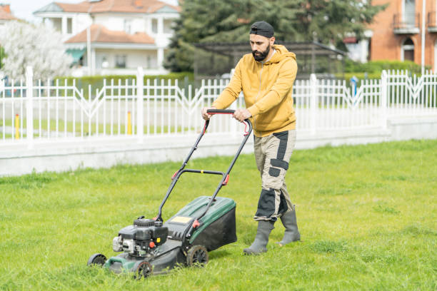 istock A man is using a lawn mower for professional trimming services 2141643342