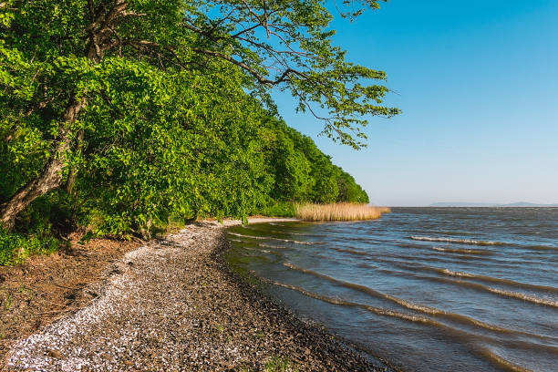 istock Seashore with a shallow bottom on a clear day. 2141647093