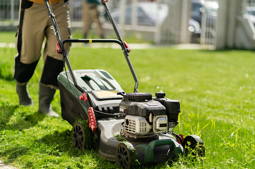 Mowing the grass