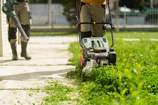 Two men are trimming grass: one is using a lawn mower, and the other one is using a blower to blow away the cut grass.