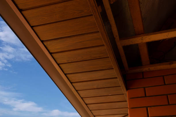 istock Roof overhang with metal siding 2141685245