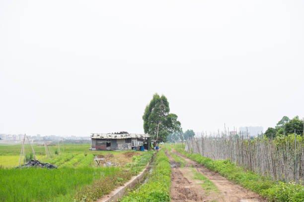 Rural roads, houses, and trees.