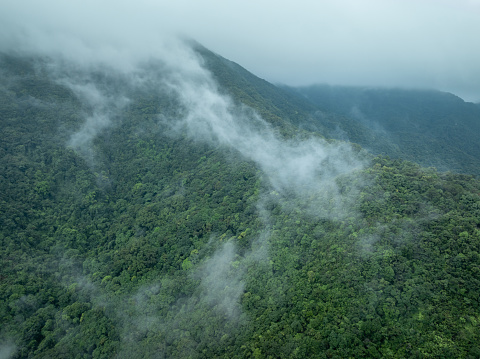 Aerial view of foggy forest mountain landscape in spring