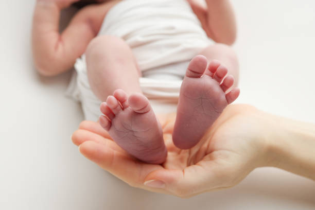 ладони отца, матери держат ножку новорожденного малыша в белом одеяле. стопы новорожденного на ладонях родителей. студийное макрофото паль - human foot baby black and white newborn стоковые фото и изображения