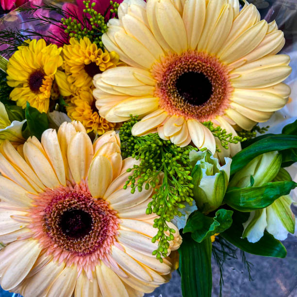 Close up view of flowers for sale in a retail store of Caracas city