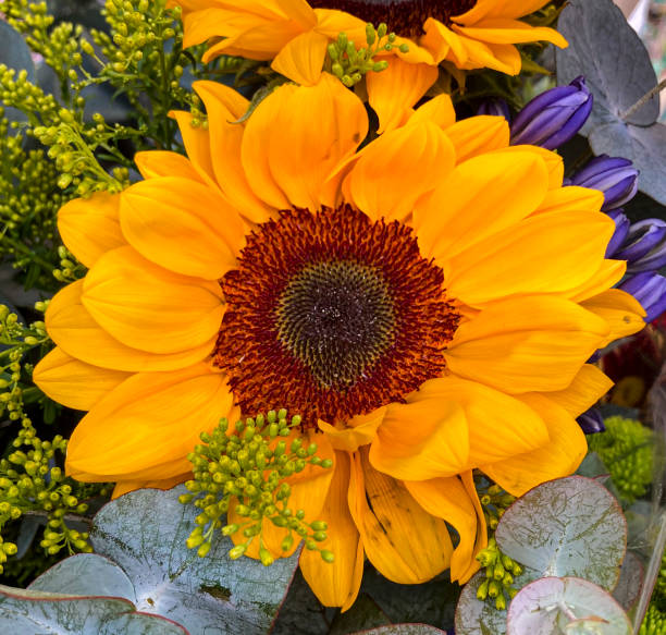 Close up view of flowers for sale in a retail store of Caracas city