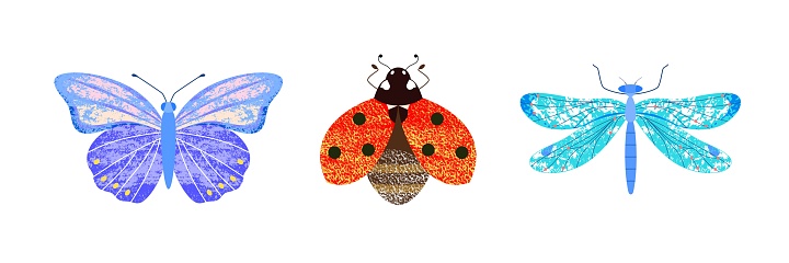Set of insects: purple butterfly, ladybug, blue dragonfly on white isolated background, top view. Cute vector illustration with textures.