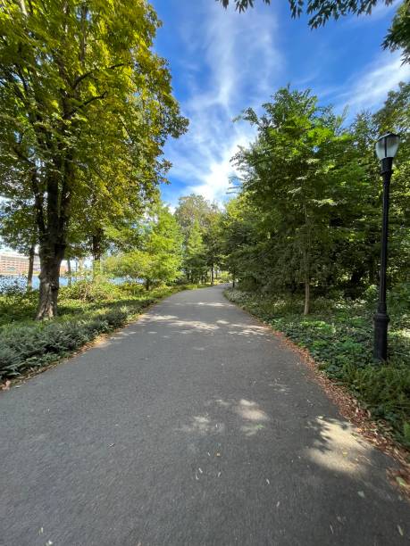 istock Central Park Path on Beautiful Day, Manhattan, New York City 2142027016