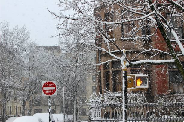 istock Traffic signs on a street corner in Harlem during a snow storm 2142178228