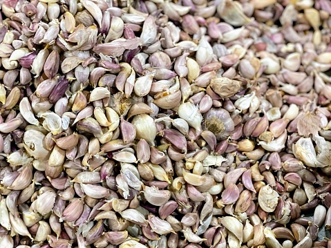 a photography of a pile of garlic seeds with a bunch of garlic in the background.