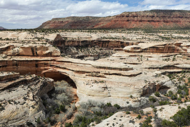 istock Natural Bridges National Monument, Utah 2142253694