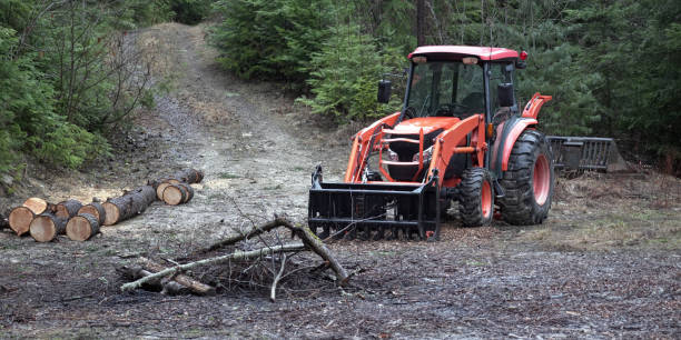istock Orange Tractor in the Pacific Northwest Woods 2142307598
