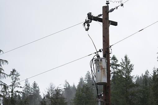 Telephone pole located in the pacific northwest surrounded by the woods.