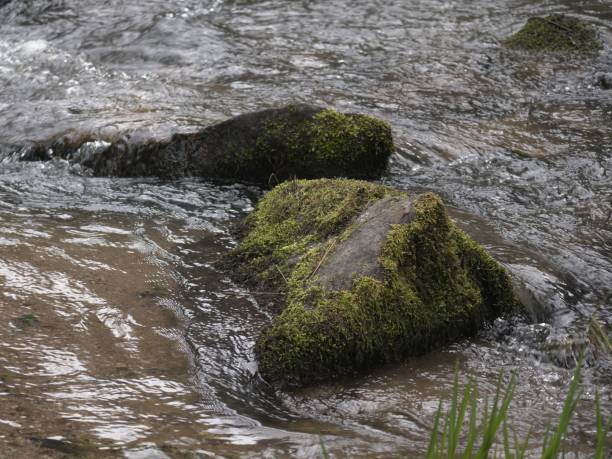 istock Two Large Mossy Rocks in the Middle of a Forest Water Stream 2142309165