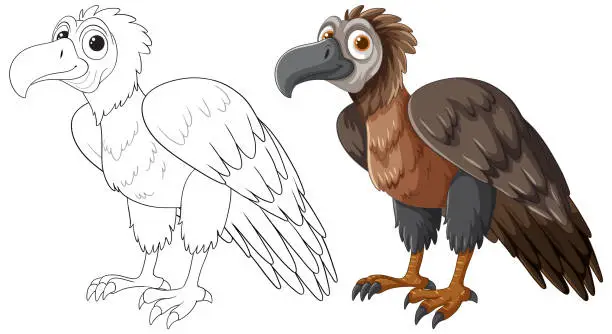 Vector illustration of Vector transition from line art to colored vulture