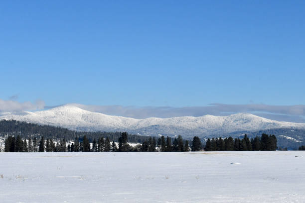 istock Peone Prairie in Winter 2142397661