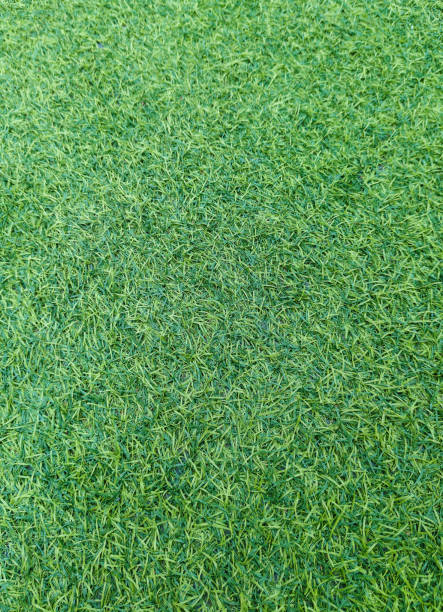 istock Green grass background in top view for graphic design 2142403342