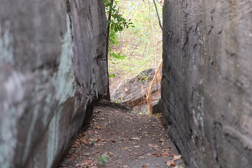A narrow path through a rocky crevice in the forest.
