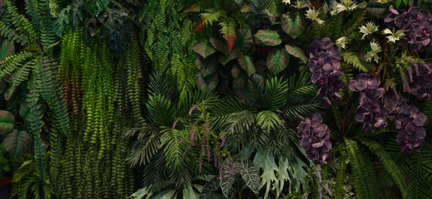 istock Group of dark green tropical leaves background. 2142457977