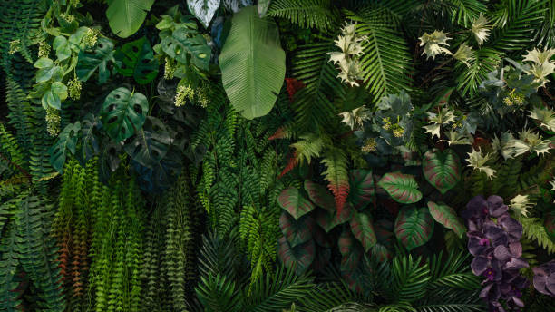 istock Group of dark green tropical leaves background. 2142460608