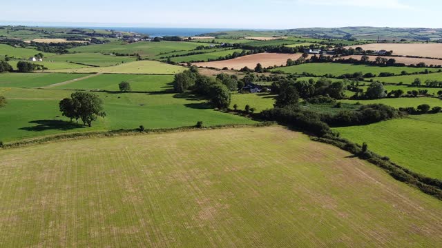 Green fields, top view. Agricultural landscape on a summer day, drone video. The countryside of the Irish south.
