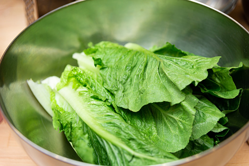 A stainless steel bowl filled with crisp, fresh green lettuce leaves, ready to be used in a healthy salad or culinary creation.