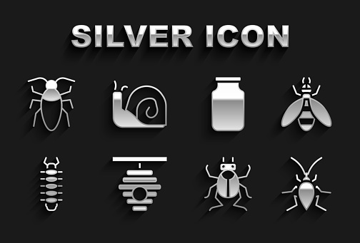 Set Hive for bees Bee Cockroach Beetle bug Centipede Glass jar and Snail icon. Vector.